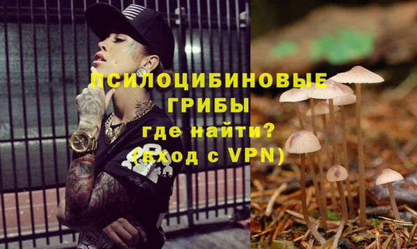 МДМА Кинешма